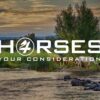 Homepage Featured Listing