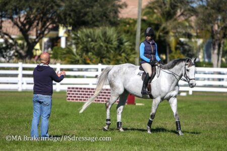 Show Jumping Training in Florida