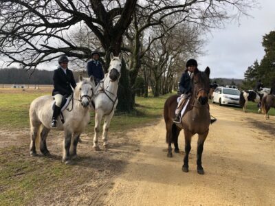 This is Donald at the Junior Hunt with two of the generations riding together.  He is a true family pony.