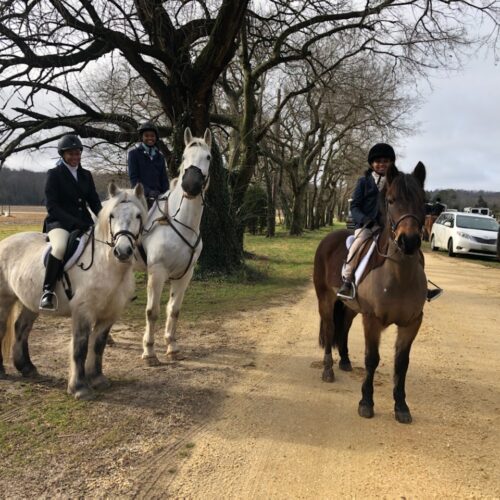 Pictured Left, Fox Hunting with De La Brooke Hounds - This is Donald at the Junior Hunt with two of the generations riding together.  He is a true family pony.