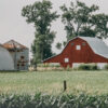 Farm