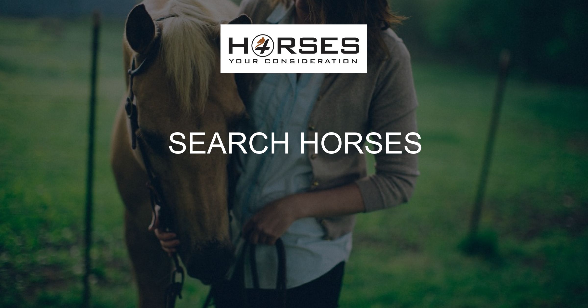 Search Horses Horses 4 Your Consideration
